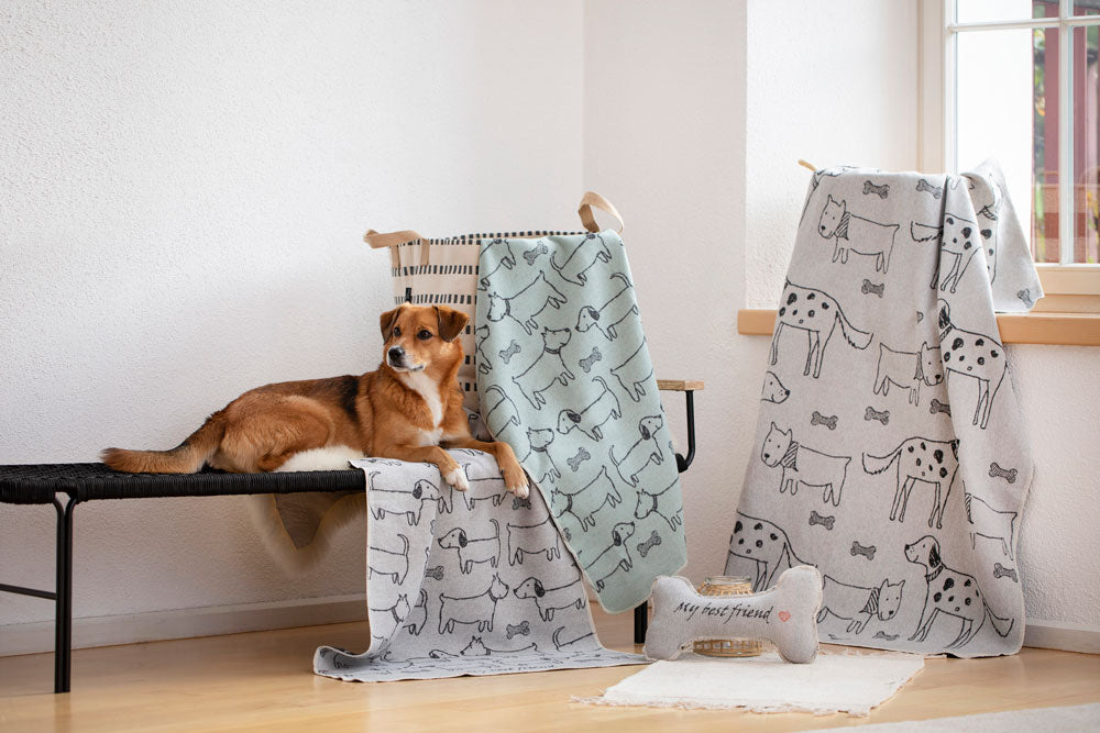 Hundeknochen "My best friend", Spielkissen, Hellgrau